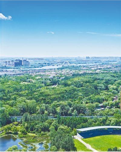 优化的造句（说费事）