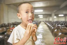 大半个湖南找辣椒 麦子园泡菜跟自己叫板图片