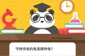 守株待兔的兔是哪种兔 森林驿站8月24日每日一题答案图片
