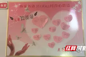 新邵县陈家坊镇：实现“微心愿”架起“连心桥”图片