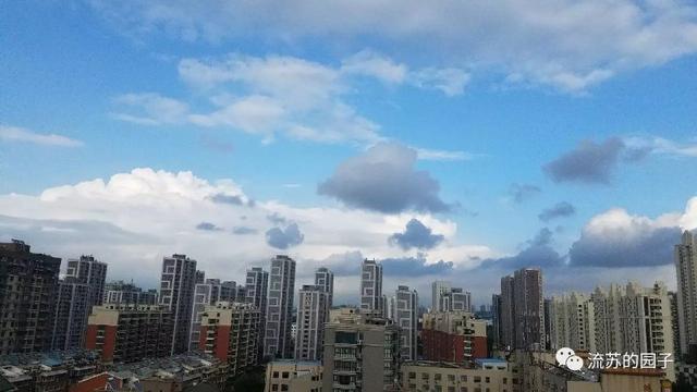 秋雨淅淅，情思绵绵