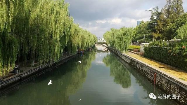 秋雨淅淅，情思绵绵