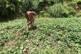 人是万物的尺度，但绝非野生动物的恶魔图片
