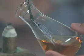 饲用微生物 为动物源性食物保驾护航视频封面