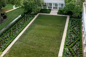 辛苦一月翻新了白宫玫瑰园，特朗普一家却被骂上热搜图片