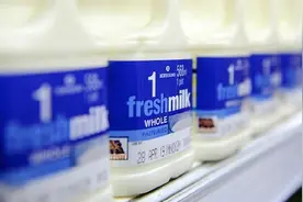 牛奶怎么选？鲜牛奶、灭菌乳、全脂奶……这几点要注意视频封面