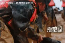 “抗洪回来就娶你！”推迟了3次，他们终于领证成功图片