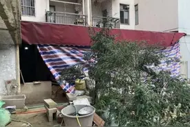 小区违建屡禁不止！南宁业主困惑：拆除怎么那么难？图片