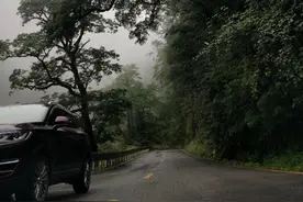 来神农架，当一回“野人”图片