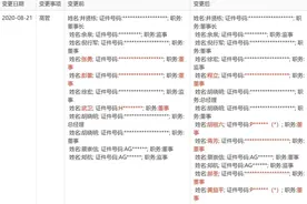 上市前蚂蚁高管层变更，张勇、彭蕾、武卫卸任董事图片