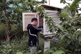 樱桃映红致富路——海东市乐都区气象局樱桃服务小记图片