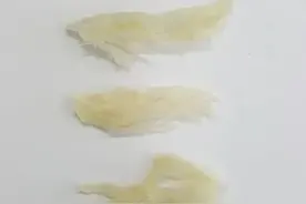 进口燕窝那些事图片