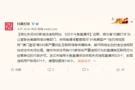 全国扫黄打非办：“91免费国产”“性巴克视频网”等383家违法违规网站遭关闭图片