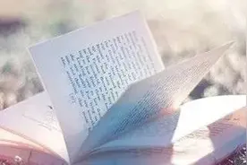 这几个优质公众号，值得你的驻足图片