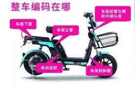 还有7天！下周二起，严禁无牌电动车上路图片