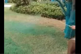 物业回应给草坪喷绿漆，称是杀菌药现已铲掉，网友“一脑门问号”很疑惑图片