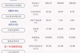 新兴铸管：2020年半年度净利润约8.70亿元，同比增加6.29%图片
