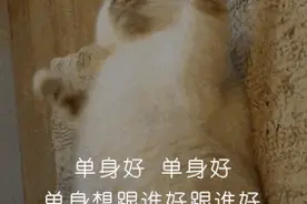七夕将至，这些“老物件”或许更能见证爱情！图片