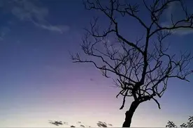 七夕｜朝暮与年岁共往，与你一同行至天光图片