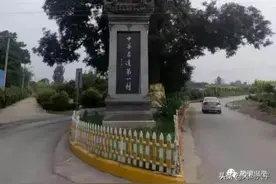 七夕，来兴平看看那颗“见证”传说的老槐树图片