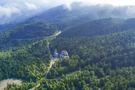 重庆特产传说（251） | 彭水有一种菌，长了一只“大脚”图片