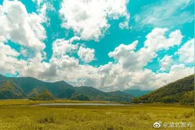 来神农架，当一回“野人”图片