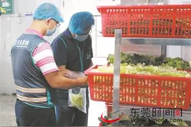 即将开学，“一起查餐厅”周四查学校食堂及周边餐饮图片