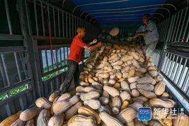 新华社关注贵州思南：“草鞋村”的致富经图片