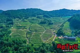 百县千村行走进宣汉｜摩托大叔：“现在的日子硬是好过得很”图片