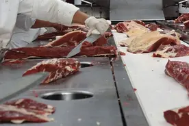 爱尔兰3家肉类加工厂发现15名员工感染新冠病毒图片