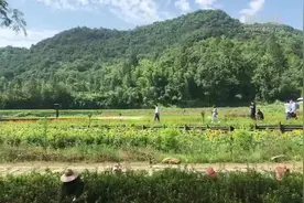 恢复跨省团队旅游“满月”安吉余村旅游热视频封面
