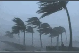 台风“巴威”北上，1949年来登陆辽宁最强台风要来了！？辽宁汛情：合计转移人口36183人图片