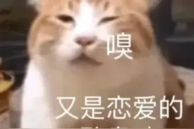 过完七夕，就办这件事！图片