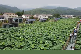搬出大山，搬进幸福生活图片
