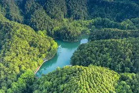 缙云山颜值大升级，曾经的“巴山”变“金山”图片