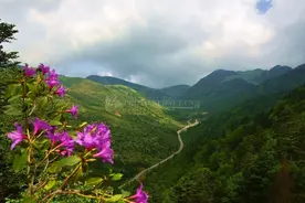七夕湖南最适合情侣去的6个地方，单身狗慎入图片