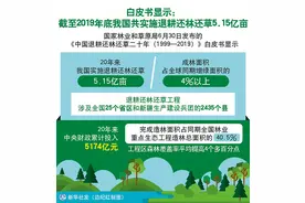 瞭望 | 草原为何伤痕累累图片