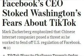 TikTok在美国广受欢迎，“扎”了谁的心？图片