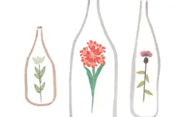 今天七夕，你表白了吗？图片