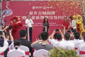 畲乡古城揭牌 景宁畲族文化旅游再添亮点图片