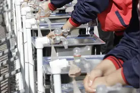 日本一小学误把冲厕所水管接成洗手水管，师生洗漱用了13年图片