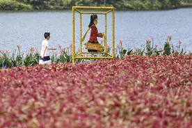 广东广州：石门国家森林公园第五届稻草文化艺术节开幕图片