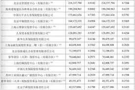 解剖蚂蚁｜蚂蚁集团是谁的：上市后马云持股不超8.8%图片