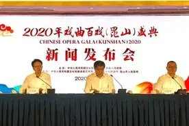 我市童子戏《恶媳善变》入选2020年戏曲百戏盛典图片
