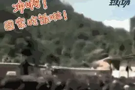 数千头猪听到音乐后回家吃饭，网友：二师兄“成精”了？图片