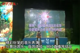 点亮南京夜经济！森林音乐狂欢节10月亮相，朴树赵雷丁当等大咖助阵图片