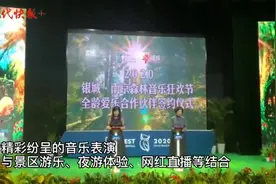 点亮南京夜经济！森林音乐狂欢节10月亮相，朴树赵雷丁当等大咖助阵图片