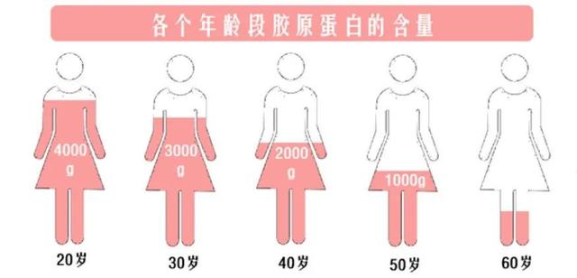 猪蹄花胶 2026年猪蹄花胶煲汤放什么配料好