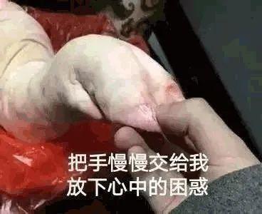 花胶汤属于大补吗 花胶算不算大补