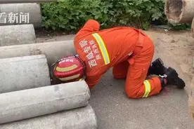 6岁男童钻入电线杆被卡中间进退两难 消防队叔叔来了……图片